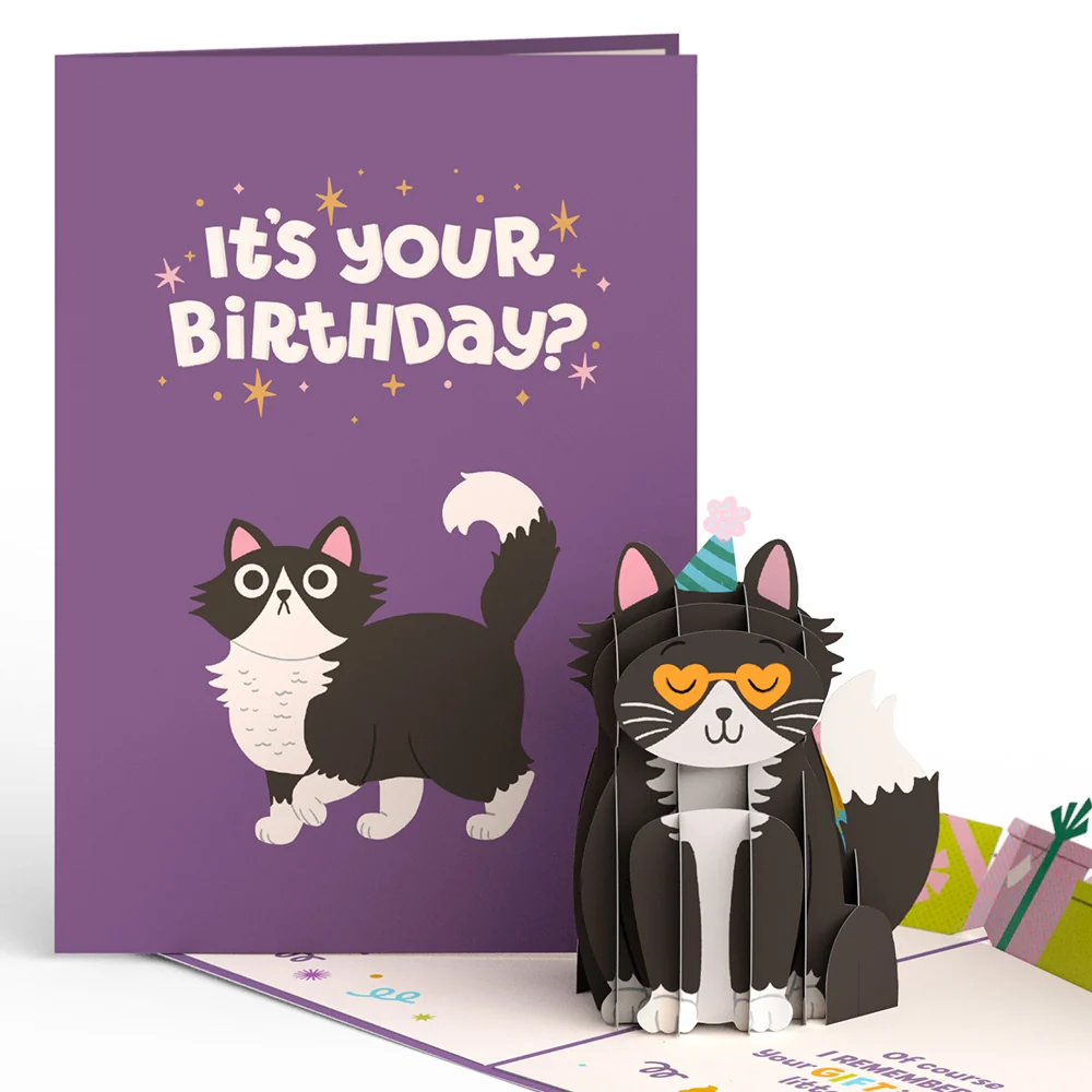 Lovepop Your Gift Is in the Litterbox Birthday Cat Pop-Up Card