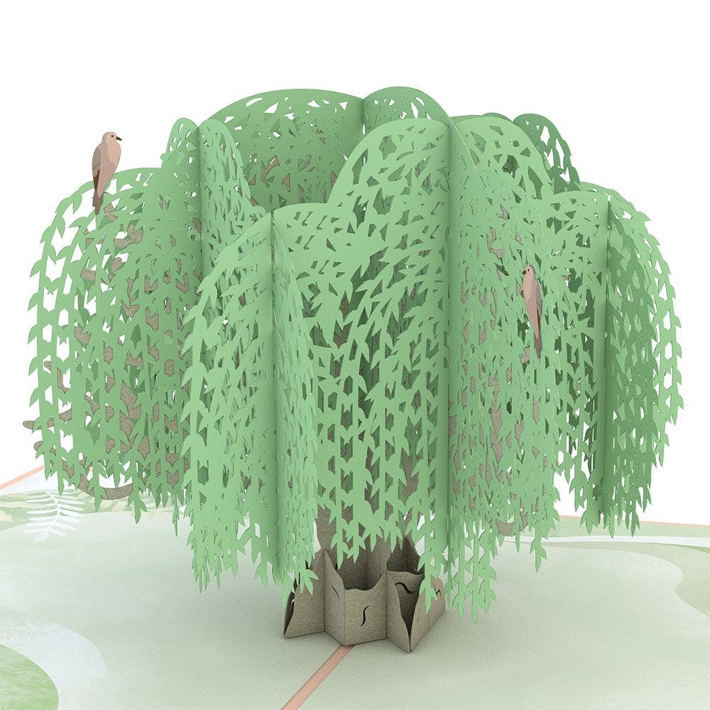 Lovepop Sympathy Tree and Tulips Bundle - Image 7
