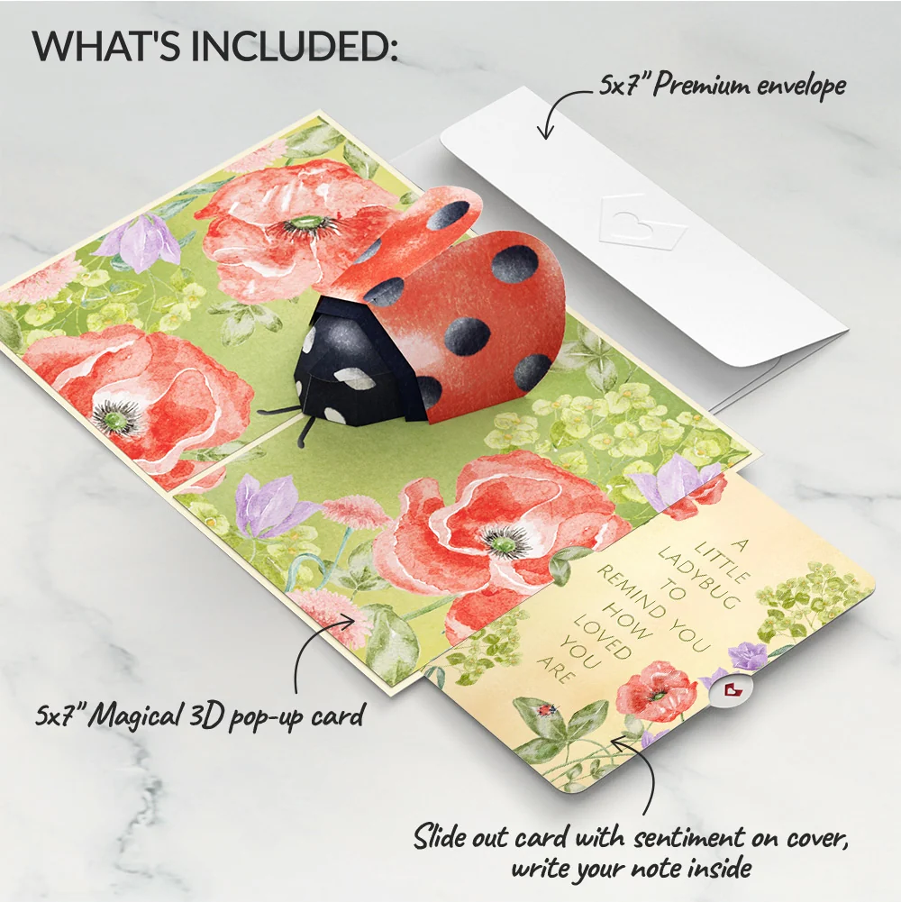 Lovepop Lovely Ladybug Thinking of You Pop-Up Card and Sentiment Set Cream - Image 2