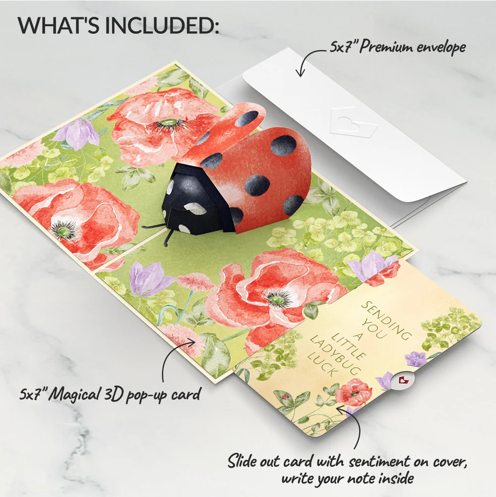 Lovepop Lovely Ladybug Love Pop-Up Card and Sentiment Set Cream - Image 2