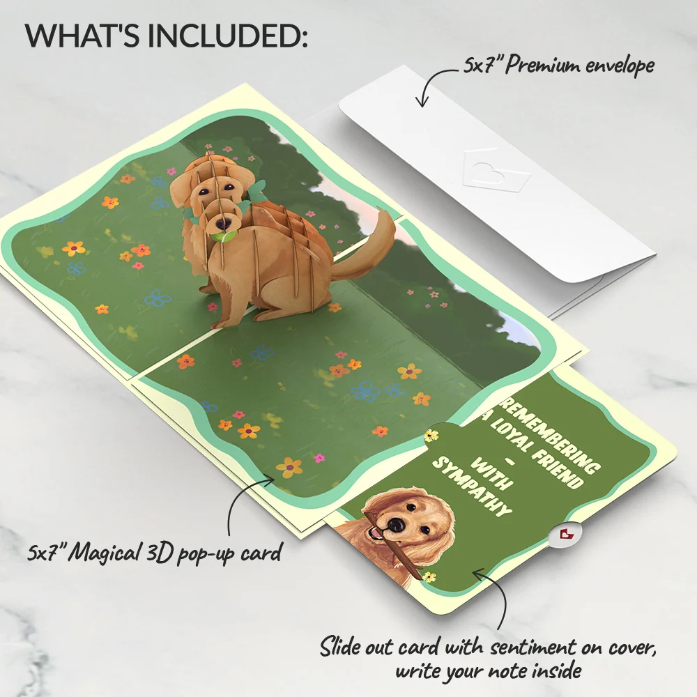 Lovepop Playful Golden Retriever Sympathy Pop-Up Card and Sentiment Set - Image 2