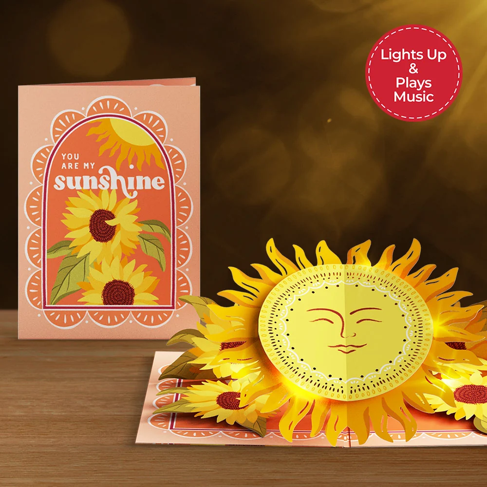 Lovepop You Are My Sunshine Music and Lights Pop-Up Card & Bouquet Bundle - Image 3