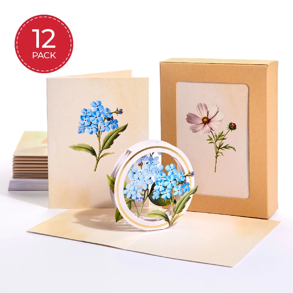 Lovepop Beautiful Botanicals Box Set (Assorted 12-Pack): Paperpop Card