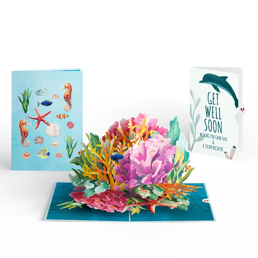 Lovepop Coral Reef Wonders Get Well Soon Pop-Up Card and Sentiment Set