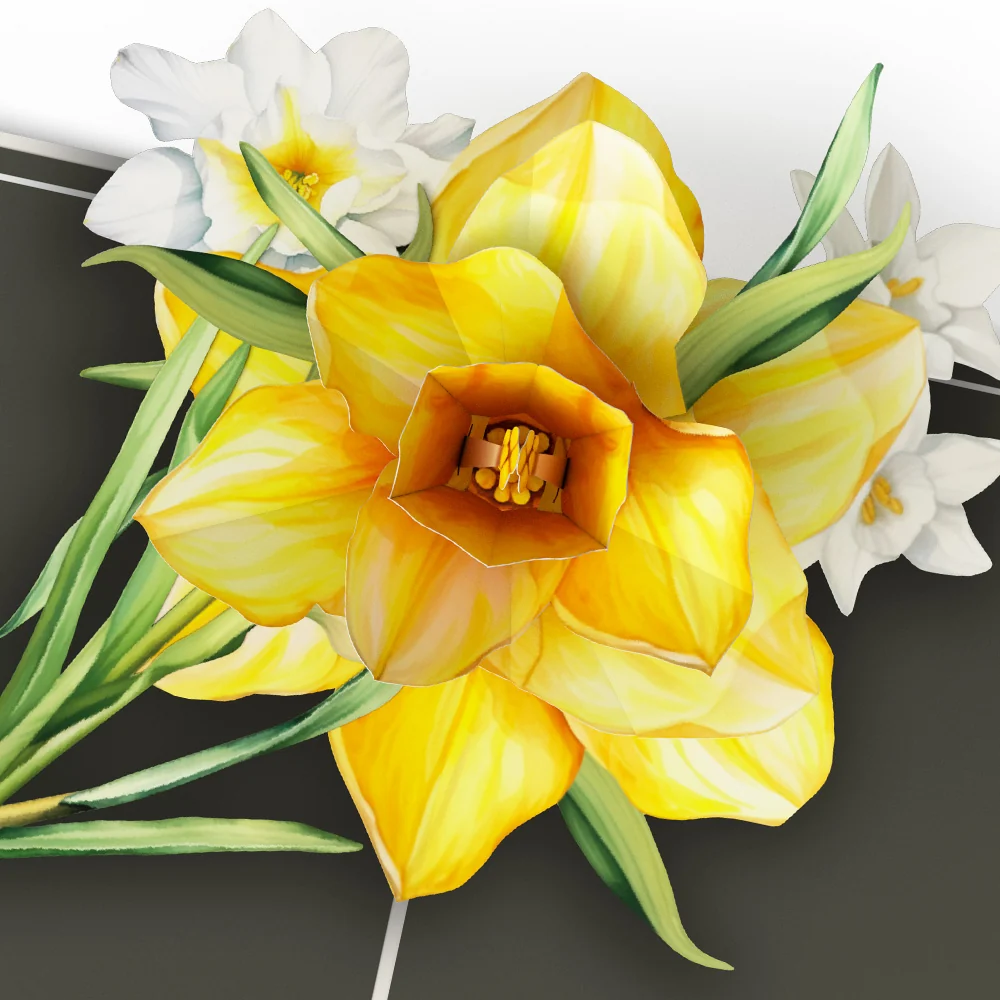 Lovepop Born to Bloom: A Year of Birth Month Flowers 12-Pack - Image 9