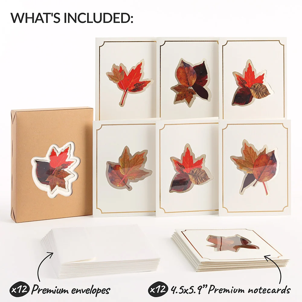 Lovepop Autumn Leaves (Assorted 12-Pack) – Petal Pressed Blank Notecards - Image 5