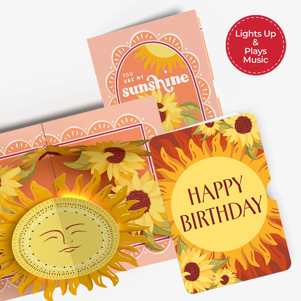 Lovepop You Are My Sunshine Birthday Music and Lights Pop-Up Card and Sentiment Set