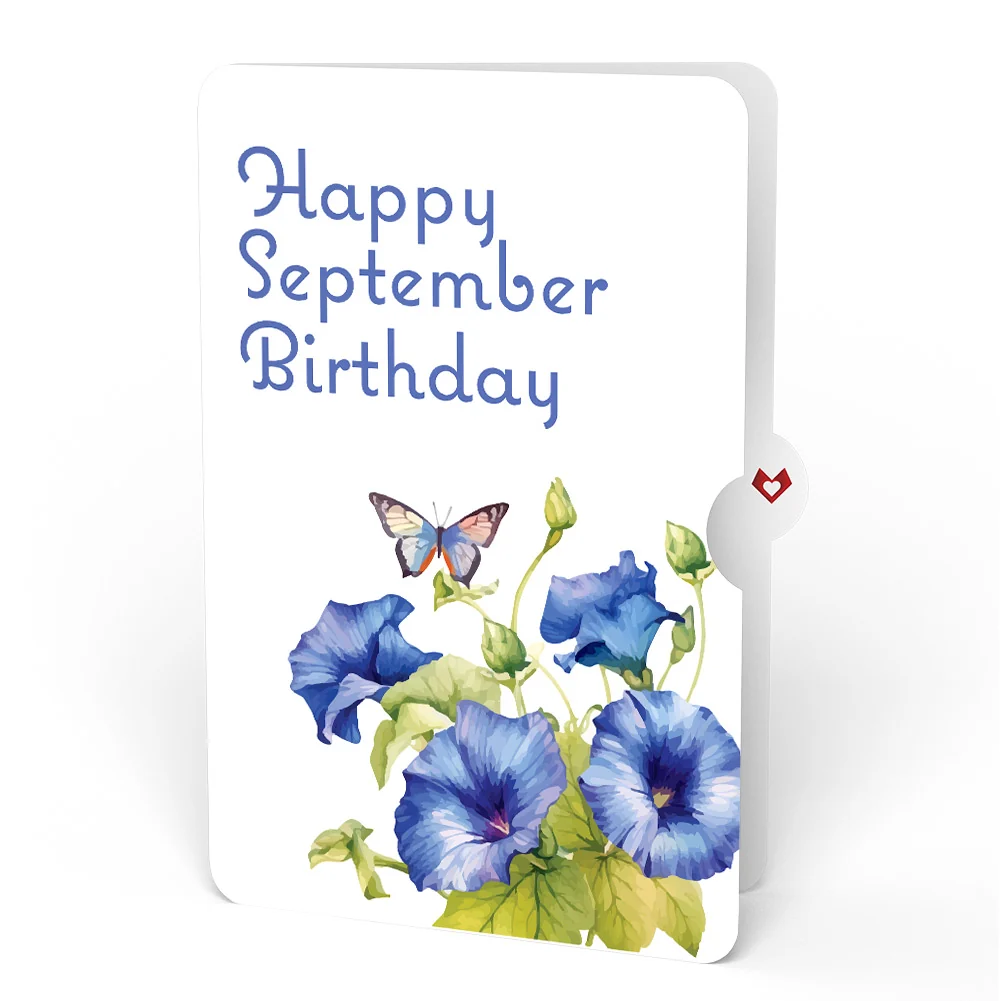 Lovepop Born to Bloom: September Birth Month Flowers Pop-Up Card and Morning Glory Sentiment Set Cream - Image 4