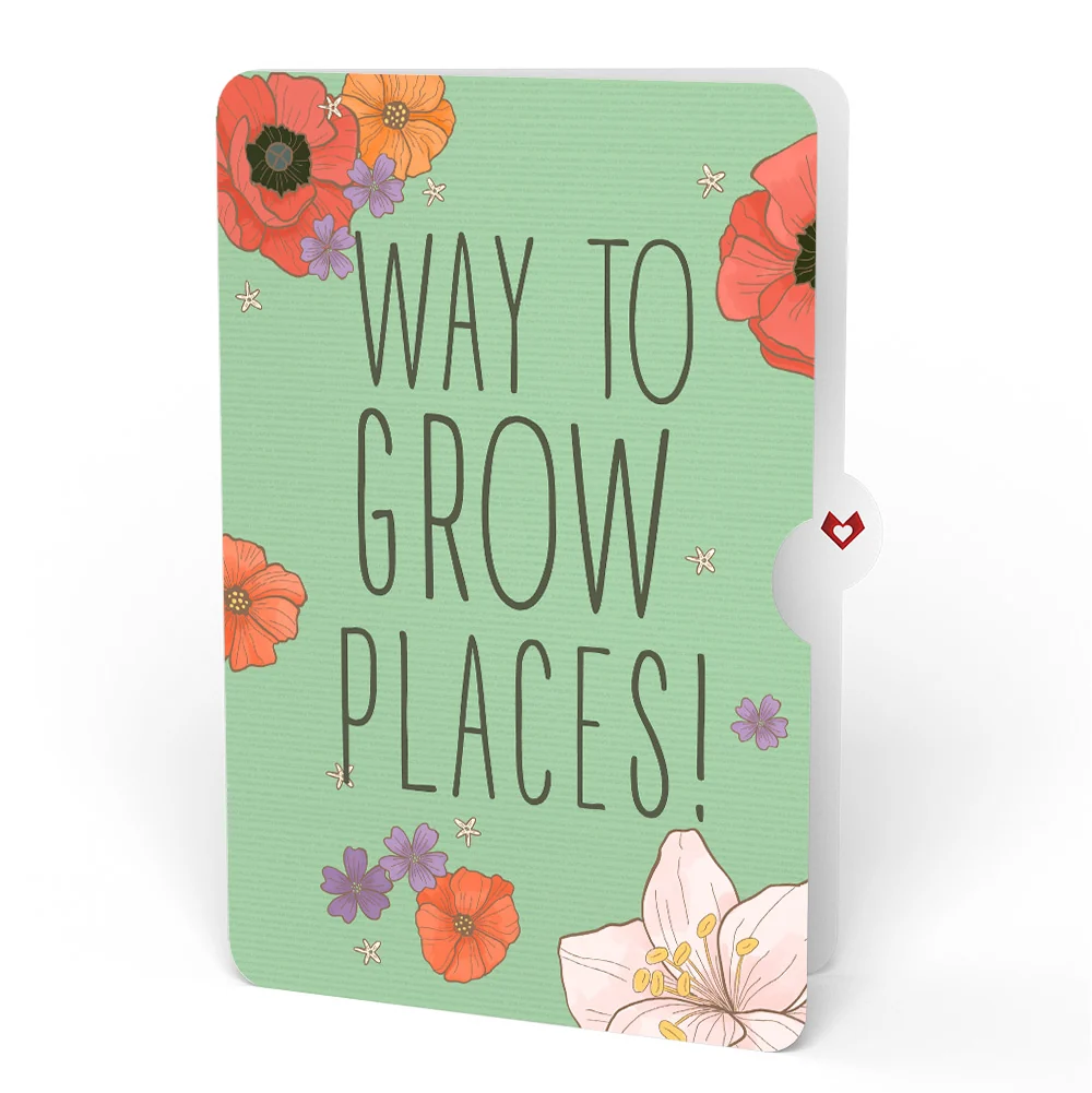 Lovepop Through the Garden Gate Congratulations Pop-Up Card and Sentiment Set - Image 4