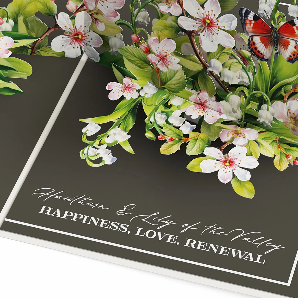 Lovepop Born to Bloom: A Year of Birth Month Flowers 12-Pack - Image 16