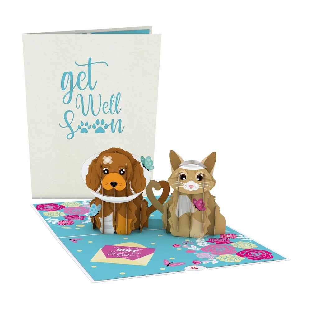 Lovepop Get Well Soon Pets Pop-Up Card