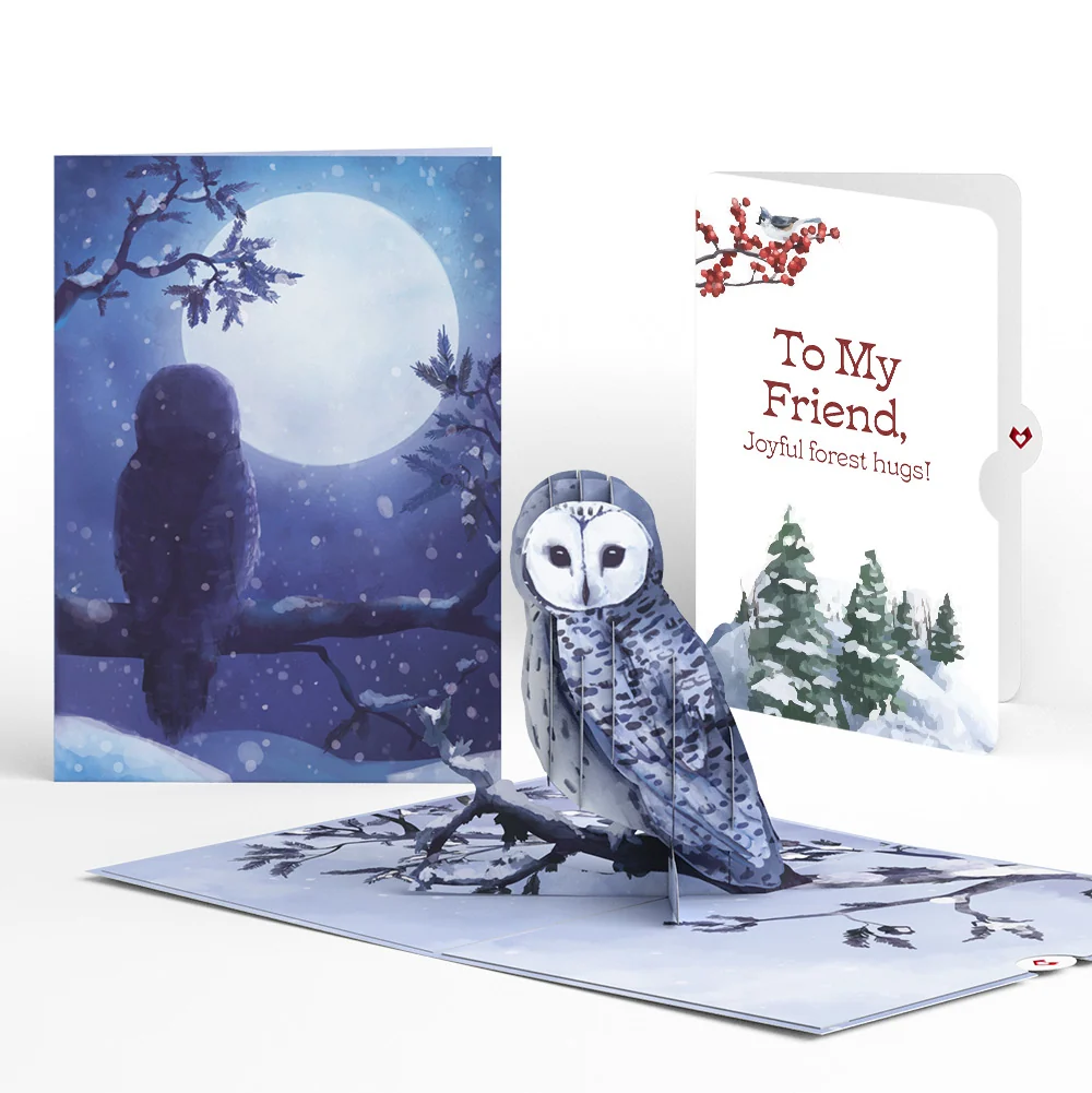 Lovepop Snowy Owl Winter Pop-Up Card and Sentiment Set for Friend