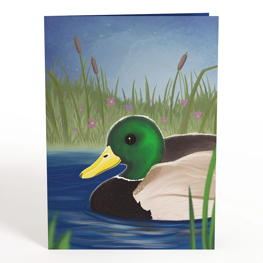 Lovepop Pondside Mallard Ducks Pop-Up Card - Image 4